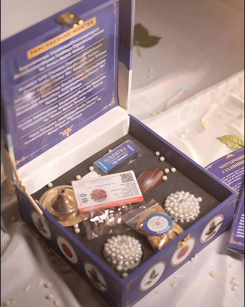 Shivling Abhishek Kit: Complete Worship Solution