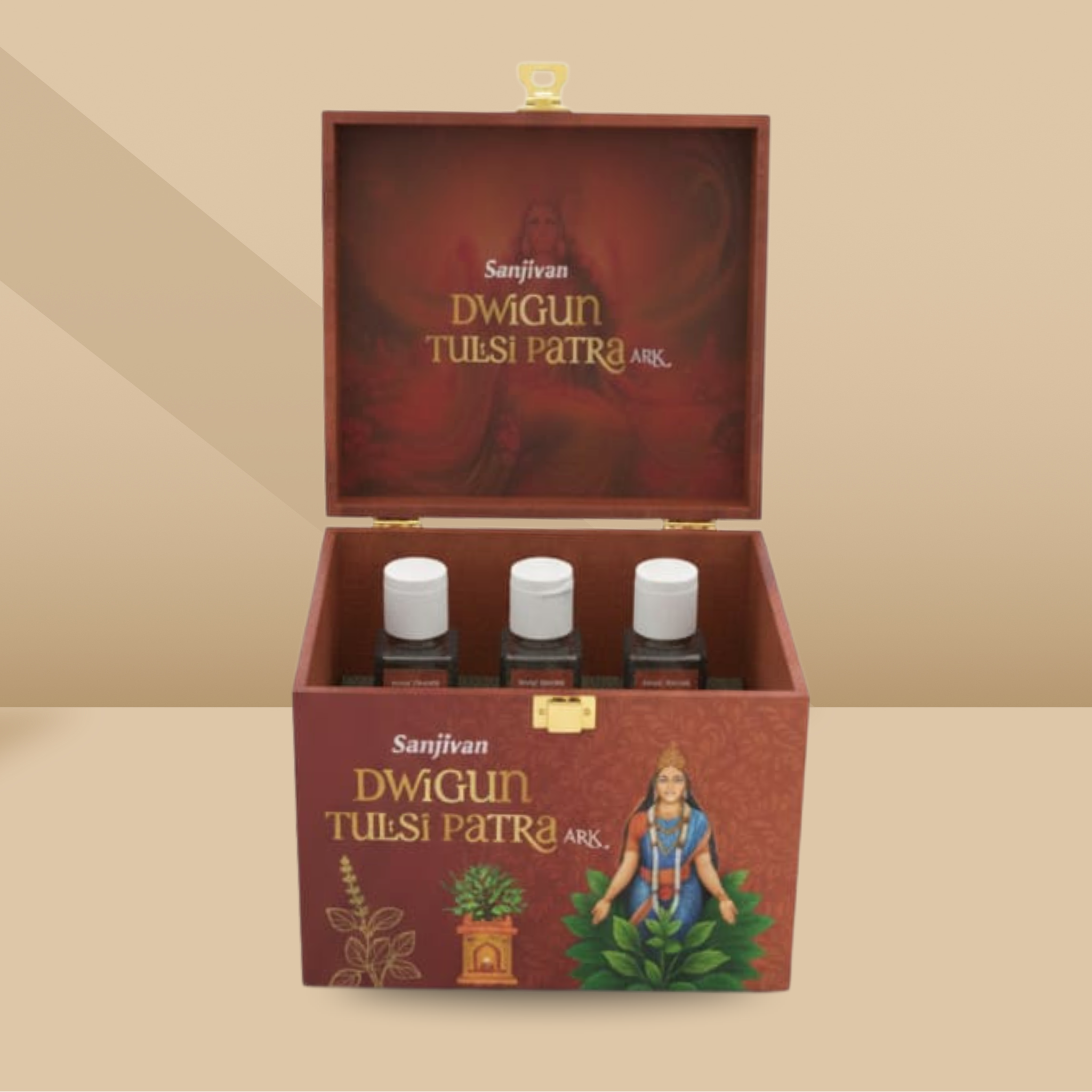 Divya Tulsi Narayan Shaligram Set – Refill Pack