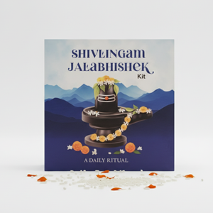 A Complete Lord Shiva Abhishek Puja Box