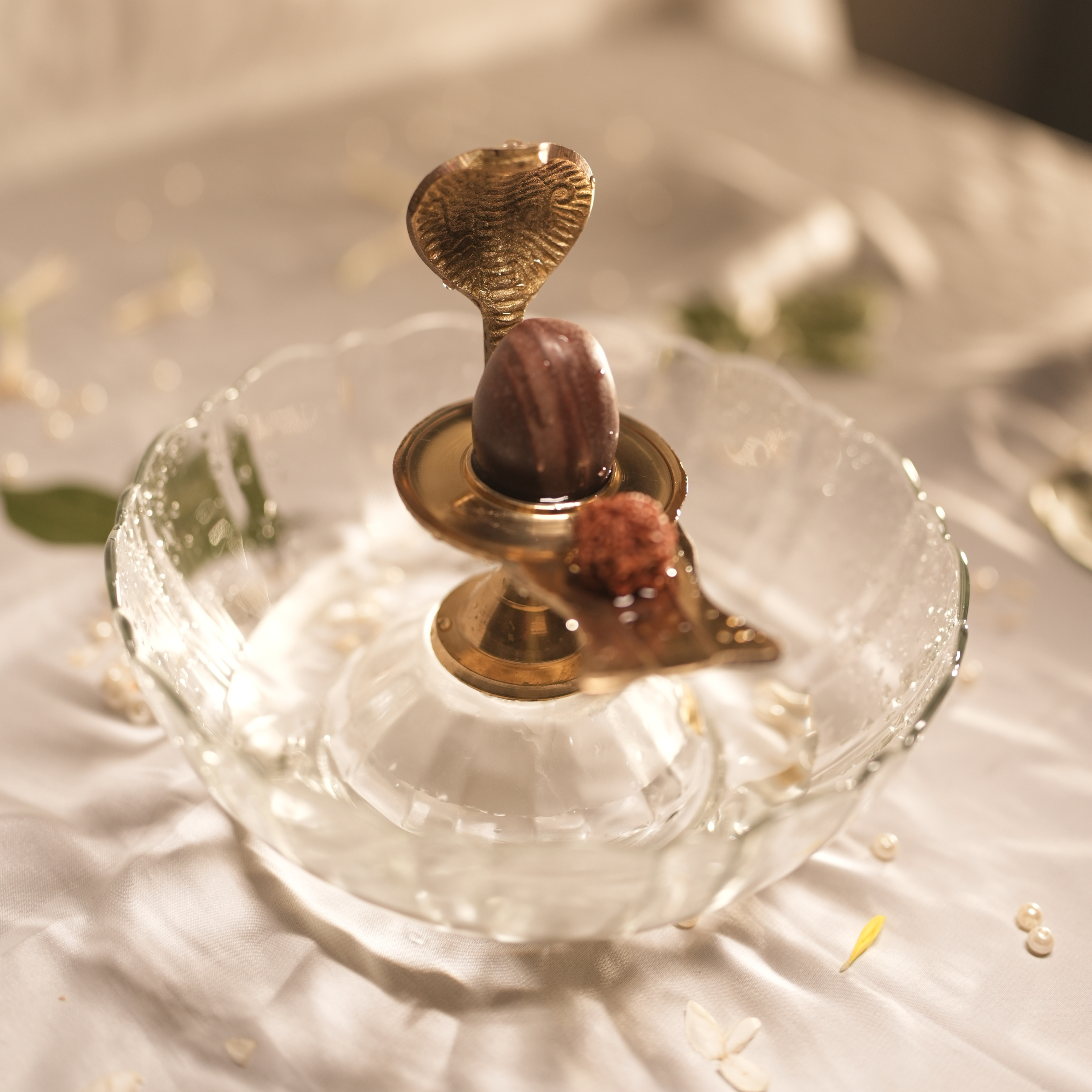 Shivling Abhishek Kit & Divya Tulsi Narayan Shaligram Set Combo