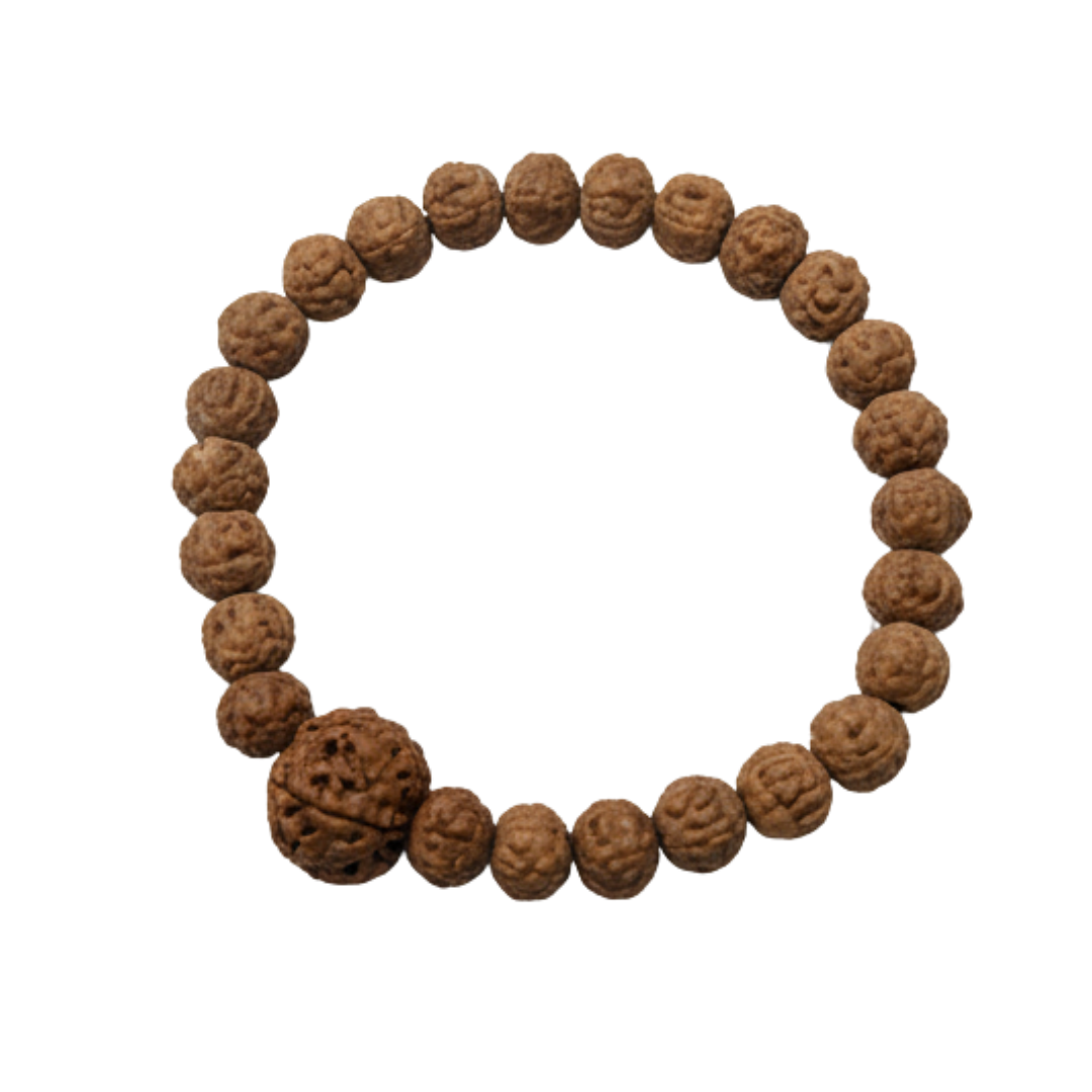 5 Mukhi Rudraksha Bracelet